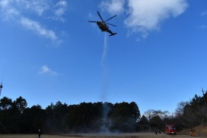 s2-DSC_0591
